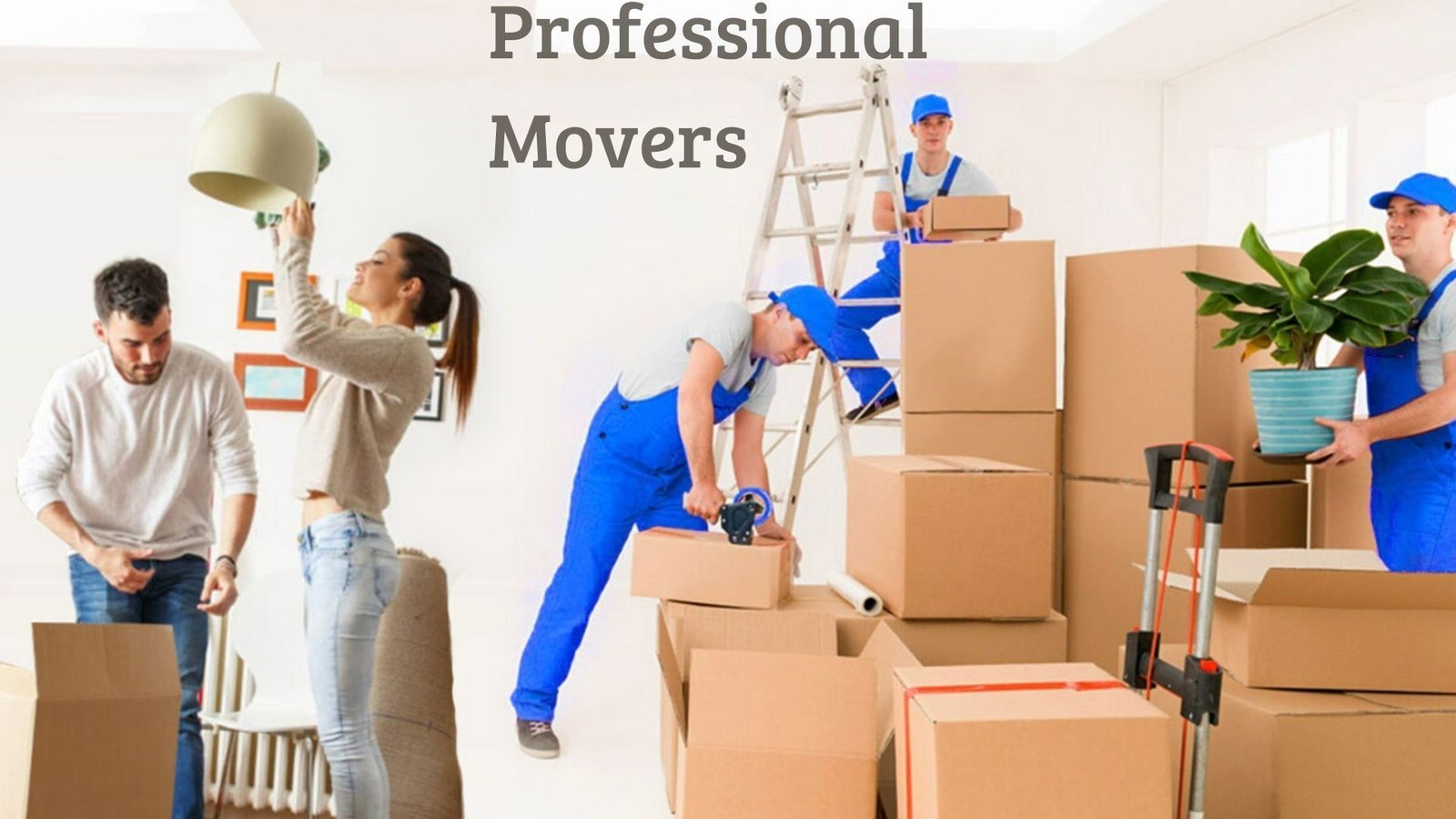 Professional-Movers-in-Sharjah